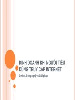 Kinh doanh khi người tiêu dùng truy cập Internet