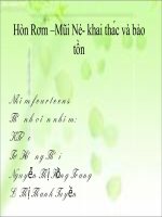 Hòn rơm mũi né khai thác và bảo tồn