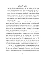Tổ chức công tác kế toán thành phẩm, tiêu thụ thành phẩm và xác định kết quả hoạt động sản xuất kinh doanh tại Công ty sản xuất - xuất nhập khẩu Việt An
