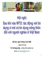 Hội nghị sau khi vào WTO tác dụng với tín dụng vi mô và tín dựng nông thôn đối với người nghèo ở Việt nam