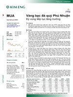 20100914 KEVS PNJ 2Q10 update