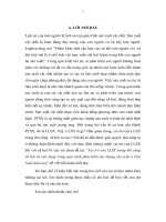 Vai trò của LLSX trong đời sống xã hội và vận dụng trong quá trình phát triển LLSX