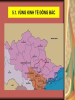 Địa lý Vùng kinh tế đông bắc