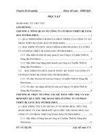 Hoàn thiện kế toán tiêu thụ và xác định kết quả tiêu thụ hàng hoá ở Công ty cổ phần Thiết bị Xăng dầu Petrolimex