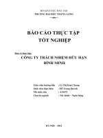 BCTTTNA14472.Công ty TNHH Bình Minh