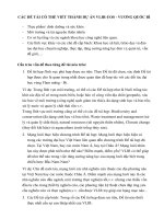 Các đề tài có thể viết thành dự án Vlir-uos- vương quốc Bỉ