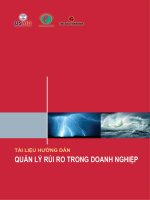 Quản lý rủi ro trong các doanh nghiệp