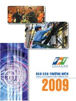 Báo cáo thường niên công ty cổ phần viễn thông FPT 2009