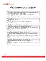 BÁO CÁO TỔNG QUAN BÁO CHÍ Tỉnh quảng nam