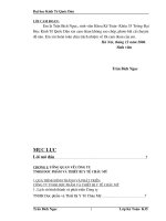 Hoàn thiện kế toán tiêu thụ hàng hoá và xác định kết quả tiêu thụ tại Công ty TNHH Dược Phẩm và thiết bị Y tế Châu Mỹ