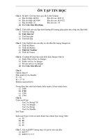 Ôn tập tin học