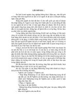 Vận dụng các chính sách Marketing trong kinh doanh tại Công ty du lịch Hà Nội