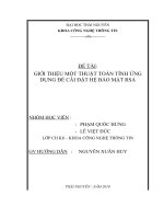 Giới thiệu thuật toán tính ứng dụng để cài đặt hệ bảo mật RSA