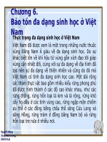 bài giảng bảo tồn đa dạng sinh học ở Việt Nam