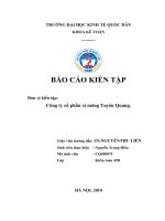 tổ chức hạch toán kế toán tại Công ty cổ phần xi măng Tuyên Quang