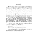 Hạch toán kế toán tiêu thụ hàng hoá và xác định kết quả kinh doanh tại Công ty TNHH thương mại Phúc Lâm