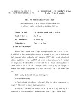 Chương trình giáo dục đại học