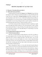 THƯƠNG MẠI ĐIỆN TỬ TẠI VIỆT NAM