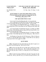 Quyết định Về việc ban hành quy định về quản lý, sử dụng Quỹ Xúc tiến thương mại- đầu tư tỉnh cà mau