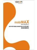 Giải pháp mobile marketing chuyên biệt M-Busibess