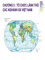 Tổ chức lãnh thổ các ngành sản xuất việt nam 