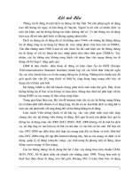 Sự phát triển của hệ thống di động Mobifone UMTS /IMT - 2000