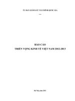 Báo cáo triển vọng kinh tế Việt Nam 2012-2013