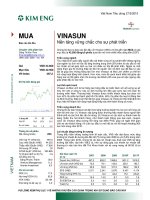 20100527 KEVS VNS Initial Coverage V(2)