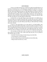 Baocaodoanchuyennganh2