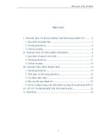 THANH TRA VỀ HOẠT ĐỘNG THƯƠNG MẠI ĐIỆN TỬ