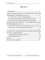 Một số giải pháp Marketing nhằm hoàn thiện hiệu quả hoạt động của hệ thống kênh phân phối tại Công ty xi măng Hoàng Mai 