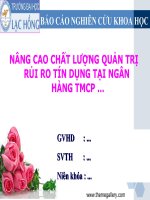 Rủi ro chất lượng quản trị rủi ro tín dụng tại ngân hàng thương mại