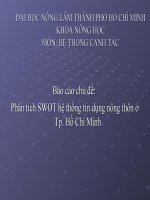 Báo cáo phân tích SWOT hệ thống tín dụng nông thôn ở TP. Hồ chí minh