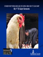 Các biện pháp phòng ngừa về bệnh cúm từ loài chim