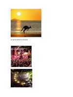 an special animal in Australia