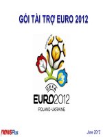 Gói tài trợ Euro sponsor 2012