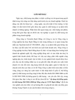 Áp dụng hệ thống quản lý chất lượng ISO 9001:2000 tại Tổng Công ty CNTT Bạch Đằng