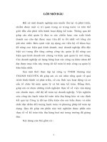 Thực trạng và giải pháp về kế toán bán hàng tại Công ty TNHH Thương mại Thành Nguyên 