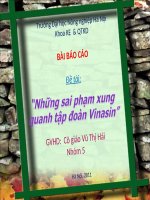 Bài báo cáo những sai phạm xung quanh tập đoàn Vinasin