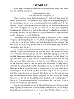 Xây dựng mô hình quản lý khai thác khu du lịch Chùa Hương