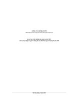 Báo cáo tài chính công ty cổ phần FPT 2010