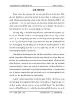 Hoàn thiện kế toán nguyên vật liệu tại Công ty TNHH Trí Hường