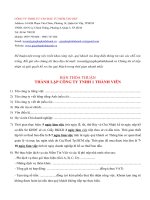 Bản thỏa thuận thành lập công ty TNHH một thành viên