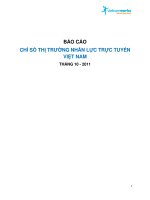 Báo cáo chỉ số thị trường nhân lực trực tuyến việt nam 2011