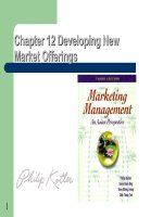 Developing new market offerings