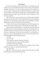 Tổ chức hạch toán Kế toán tại Công ty Cổ phần Đầu Tư Xây Dựng và Phát Triển Thương Mại số 9