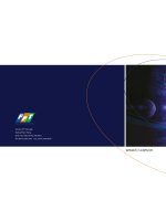 Báo cáo thường niên tập đoàn FPT năm 2008