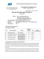 Báo cáo tình hình quản trị công ty công ty cổ phần chứng khoán âu việt