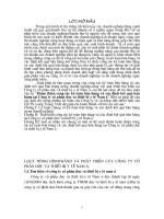 Hoàn thiện công tác kế toán bán hàng và xác định kết quả bán hàng tại Công ty cổ phần Dược và thiết bị y tế Nam Á