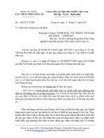 Công văn Điều kiện là hàng hóa xuất khẩu